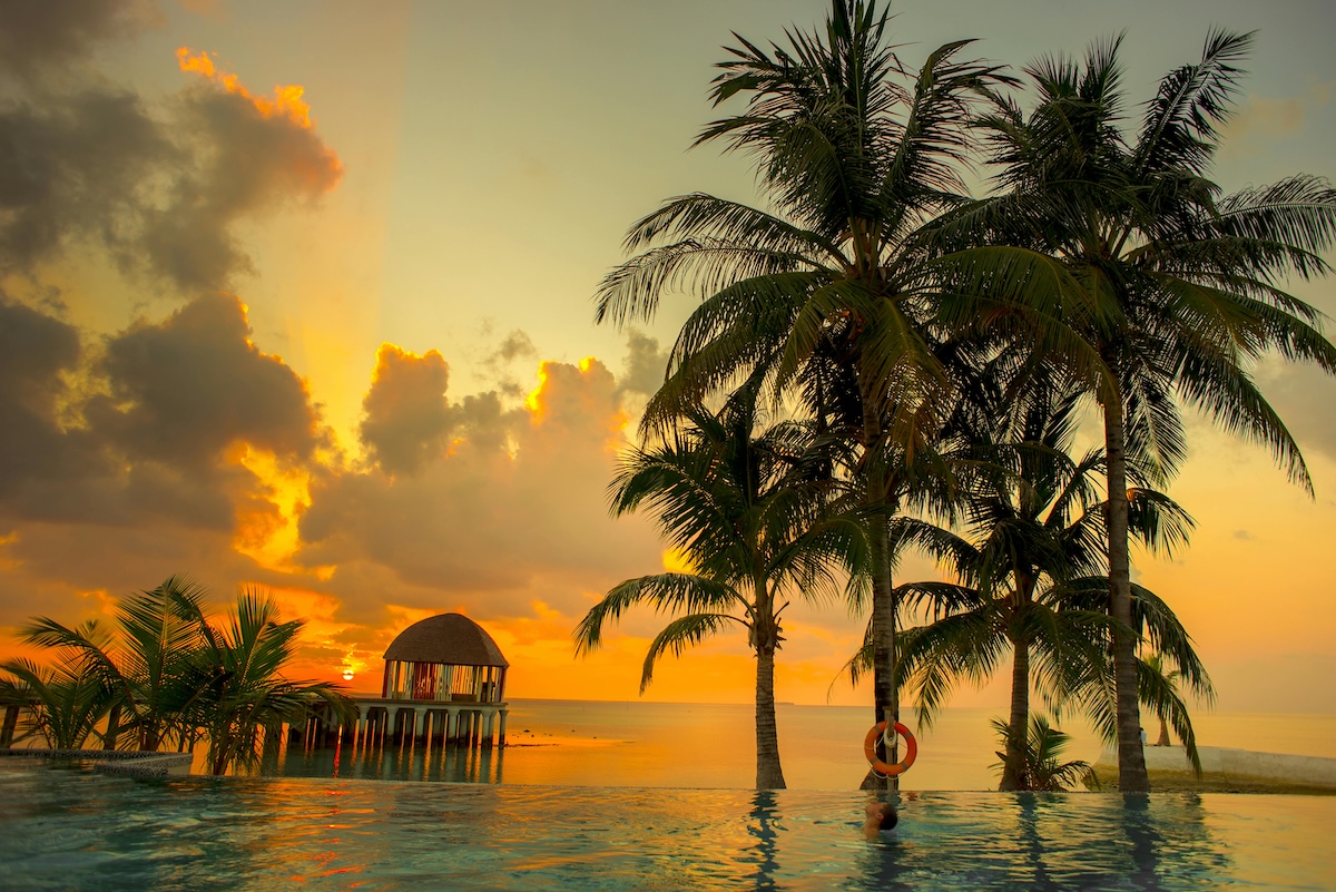 Best Bali Day Tours & Experiences (Private): A Complete Guide to 10 Handpicked Trips with DayDreamHub (DDH) x Bali Lovina Tours